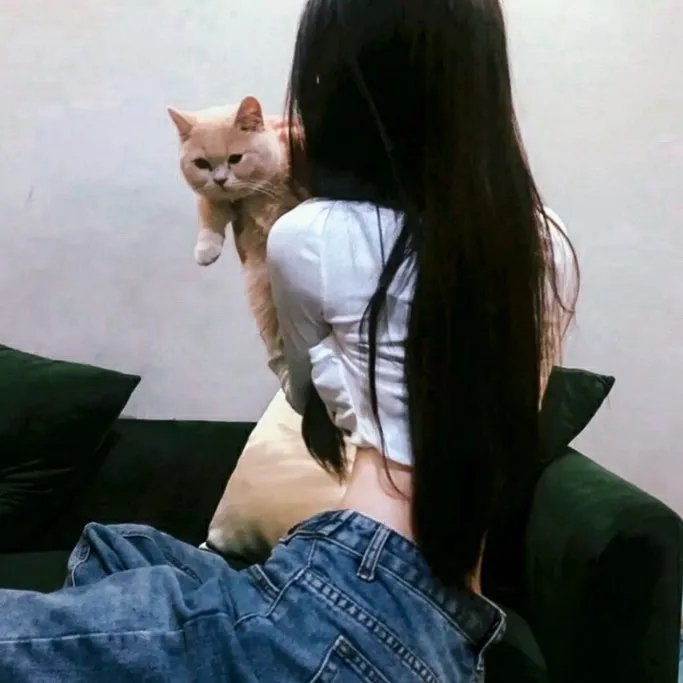 黑豹2